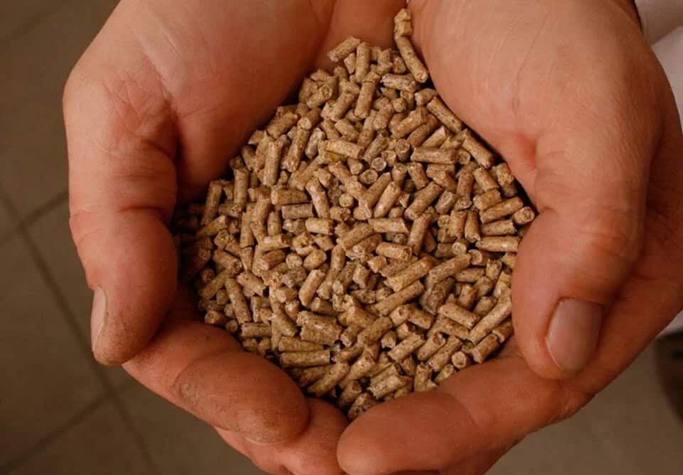 کود مرغی پلیت با آزادسازی تدریجی